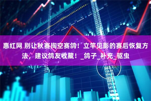 惠红网 别让秋赛掏空赛鸽!立竿见影的赛后恢复方法,建议鸽友收藏!_鸽子_补充_驱虫