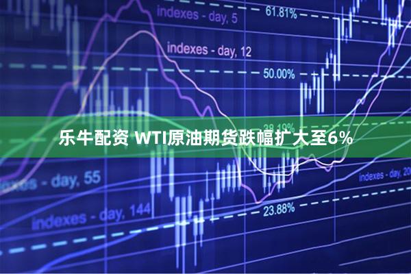 乐牛配资 WTI原油期货跌幅扩大至6%