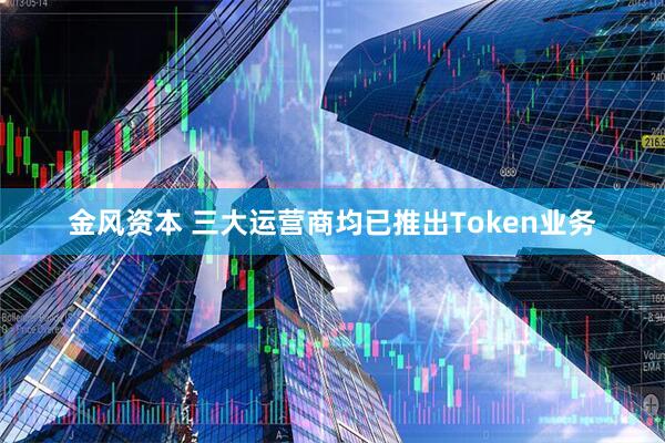 金风资本 三大运营商均已推出Token业务